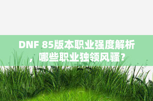 DNF 85版本职业强度解析图片