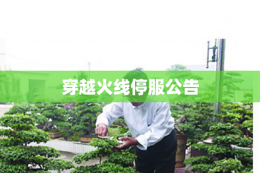 穿越火线停服公告图片