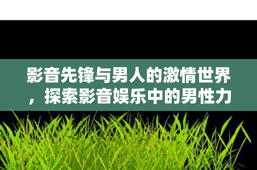 探索影音娱乐中的男性力量与色彩图片