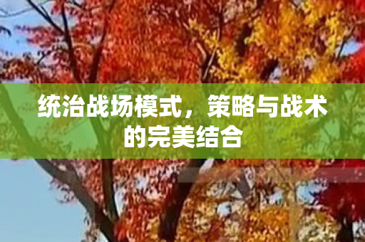 策略与战术的完美结合图片