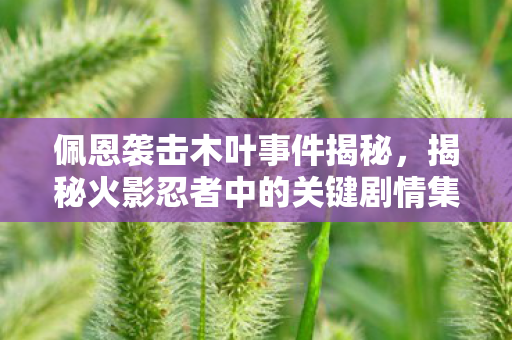 揭秘火影忍者中的关键剧情集数图片