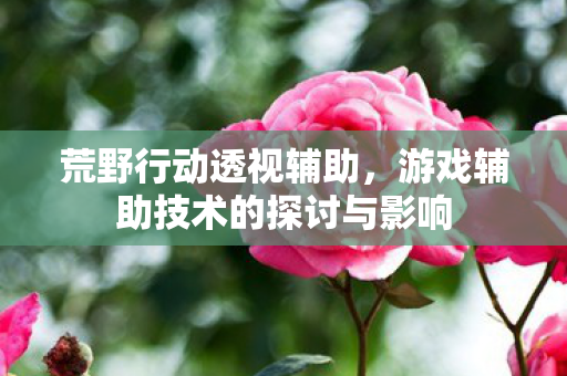 游戏辅助技术的探讨与影响图片