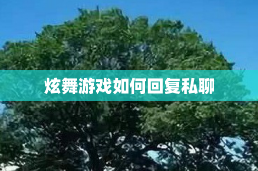 炫舞游戏如何回复私聊图片