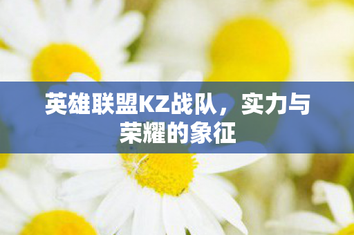 英雄联盟KZ战队图片