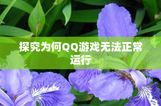 探究为何QQ游戏无法正常运行图片