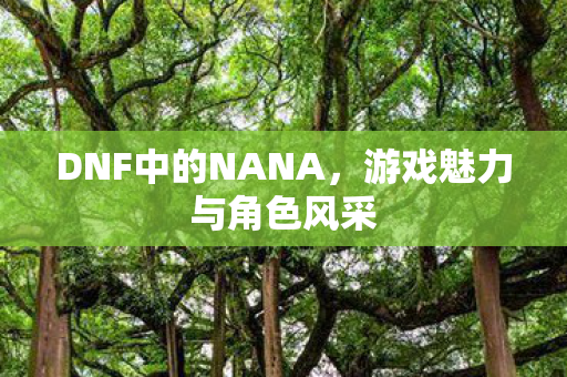 DNF中的NANA图片