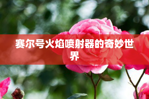 赛尔号火焰喷射器的奇妙世界图片