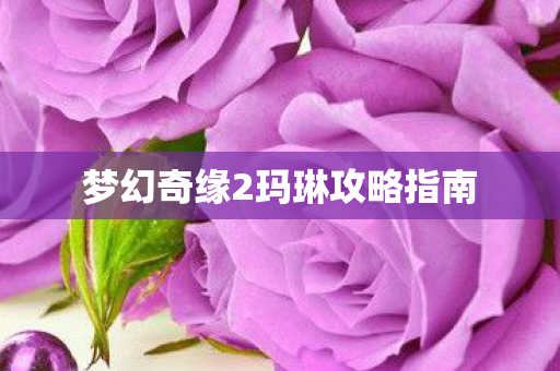 梦幻奇缘2玛琳攻略指南图片