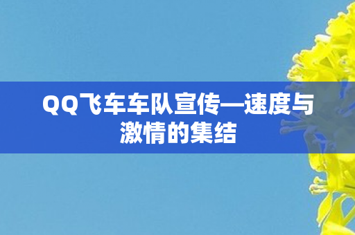 QQ飞车车队宣传图片