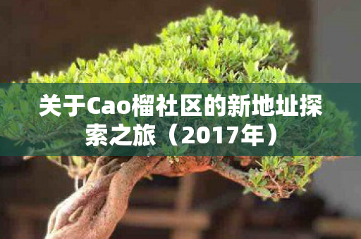 关于Cao榴社区的新地址探索之旅图片