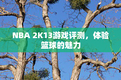 NBA 2K13游戏评测图片