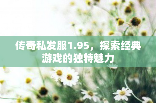 探索经典游戏的独特魅力图片