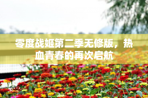 零度战姬第二季无修版图片