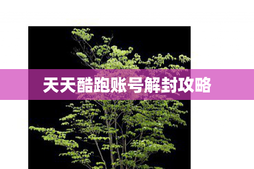天天酷跑账号解封攻略图片