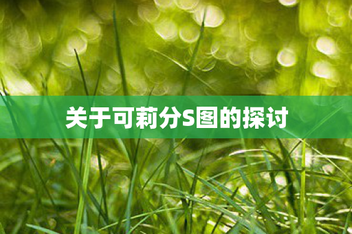关于可莉分S图的探讨图片