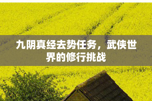 武侠世界的修行挑战图片