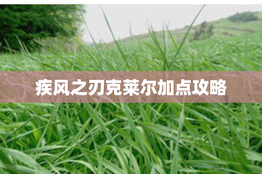 疾风之刃克莱尔加点攻略图片