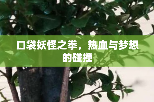 热血与梦想的碰撞图片