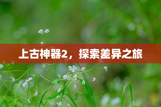 探索差异之旅图片