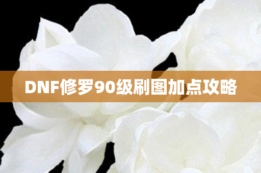 DNF修罗90级刷图加点攻略图片