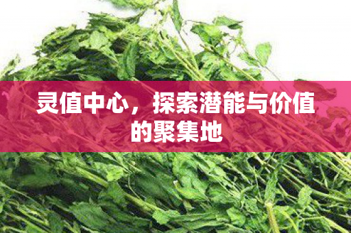 探索潜能与价值的聚集地图片