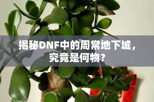 揭秘DNF中的周常地下城图片