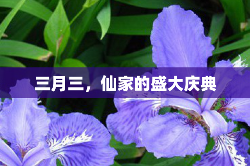 仙家的盛大庆典图片