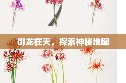 探索神秘地图图片