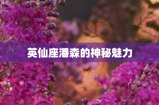 英仙座潘森的神秘魅力图片