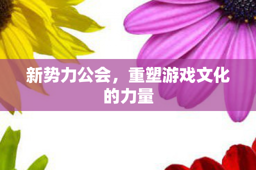 重塑游戏文化的力量图片