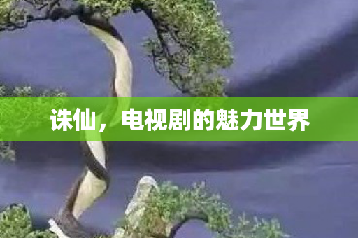 电视剧的魅力世界图片