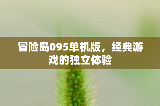 冒险岛095单机版图片