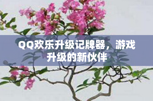 QQ欢乐升级记牌器图片