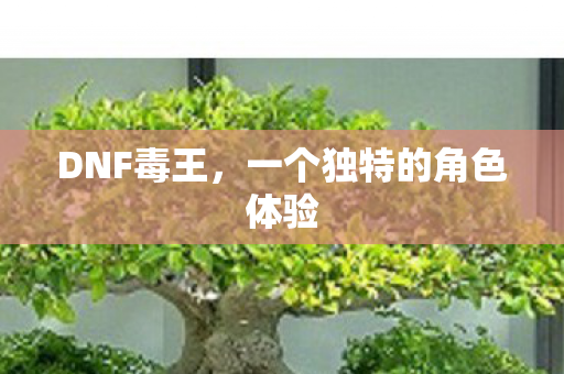 一个独特的角色体验图片