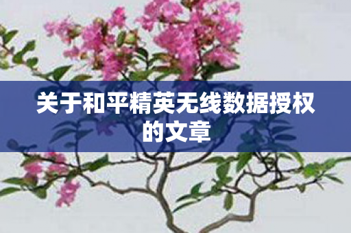 关于和平精英无线数据授权的文章图片