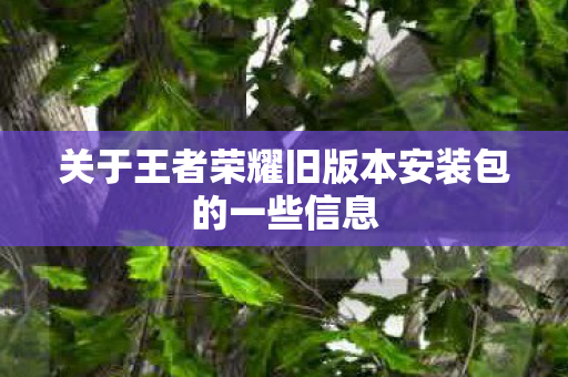 关于王者荣耀旧版本安装包的一些信息图片
