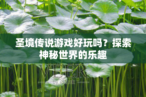 圣境传说游戏好玩吗图片