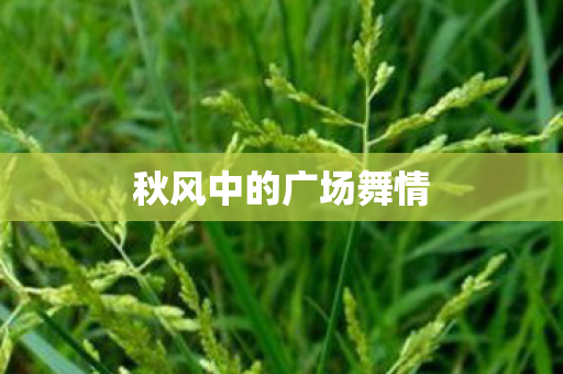 秋风中的广场舞情图片