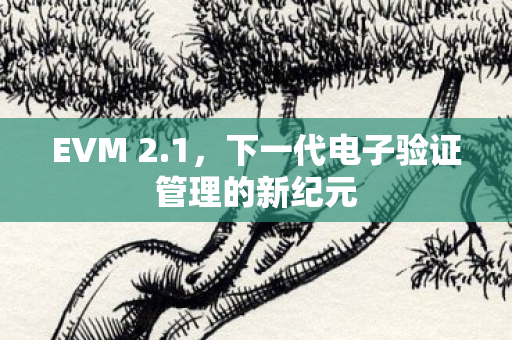 下一代电子验证管理的新纪元图片
