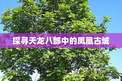 探寻天龙八部中的凤凰古城图片
