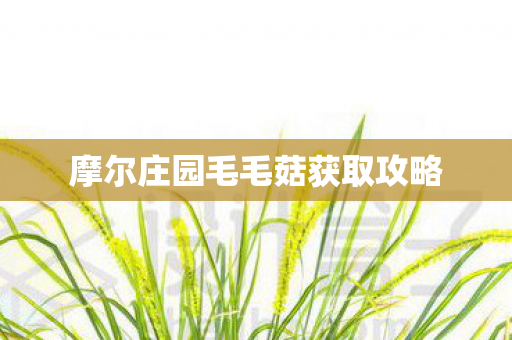 摩尔庄园毛毛菇获取攻略图片