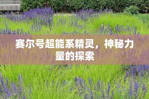 赛尔号超能系精灵图片