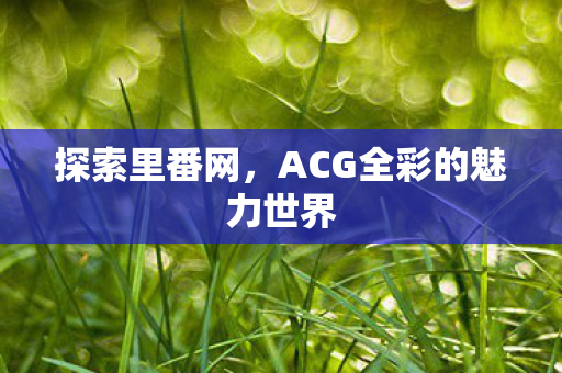 ACG全彩的魅力世界图片