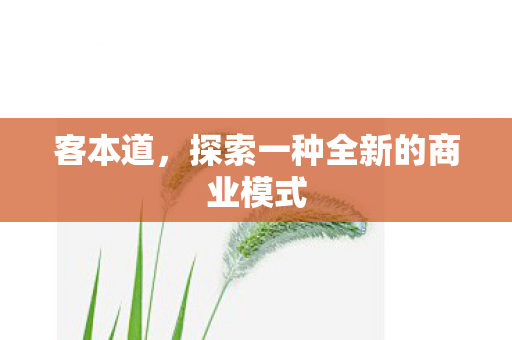 探索一种全新的商业模式图片