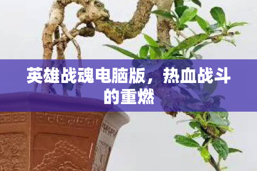 英雄战魂电脑版图片