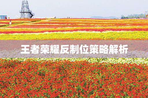 王者荣耀反制位策略解析图片