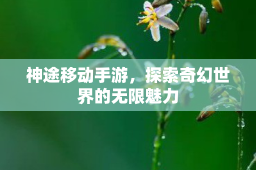 探索奇幻世界的无限魅力图片