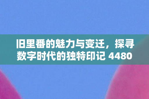 探寻数字时代的独特印记 4480图片