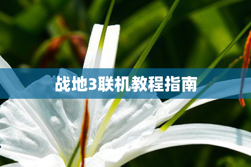 战地3联机教程指南图片