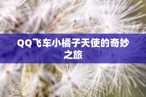 QQ飞车小橘子天使的奇妙之旅图片
